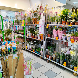 Auchan, Zhytomyr, st. Kyivska, 77, photo 2